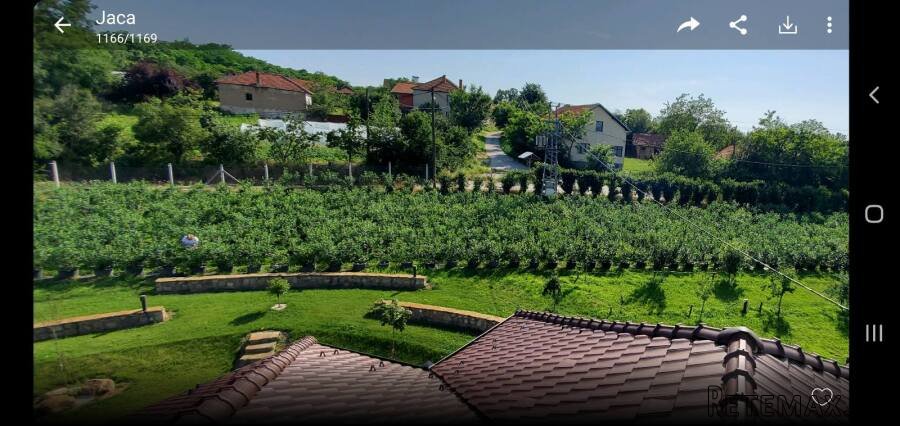 Prodajem kucu sa plantazom Žbevac-Bujanovac - 13