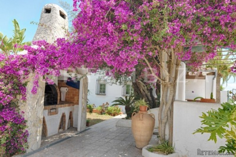 Well kept country house near Ibiza - 2