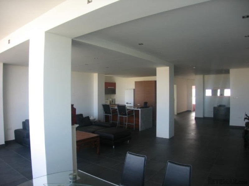 Flat, Luxurious Finish - 2