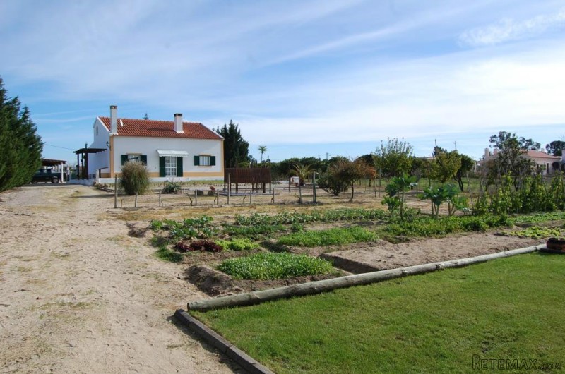 Small Farm T2+1 - 2