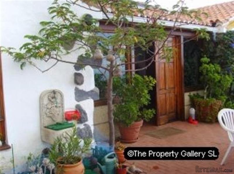 Farm For Sale in Acojeja, Tenerife - 2