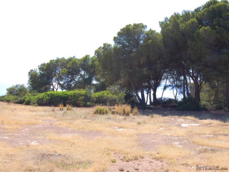 *reserved* Frontline Building Plot In.. - 2