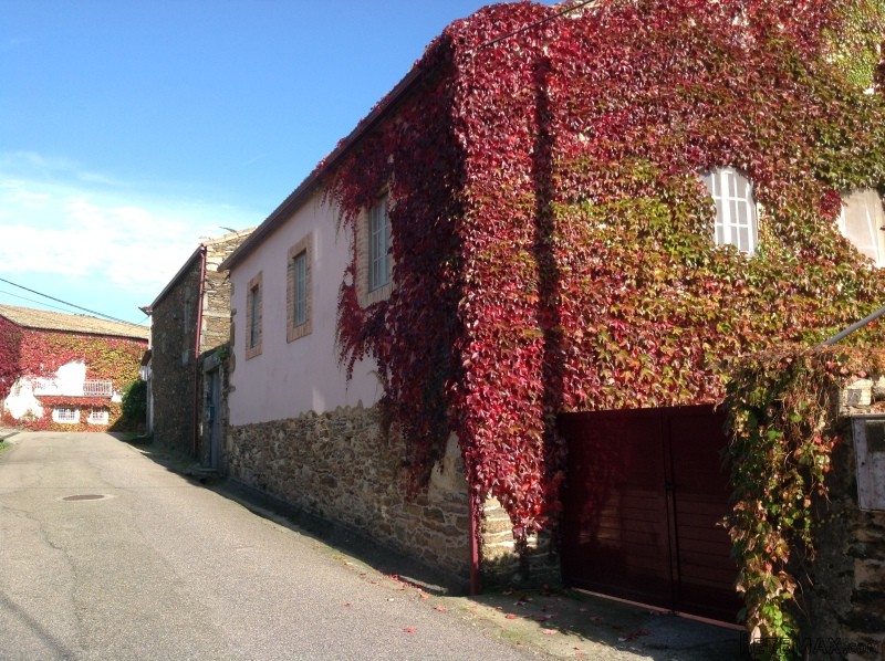 5 Bedrooms - Villa - Pontevedra - For.. - 2