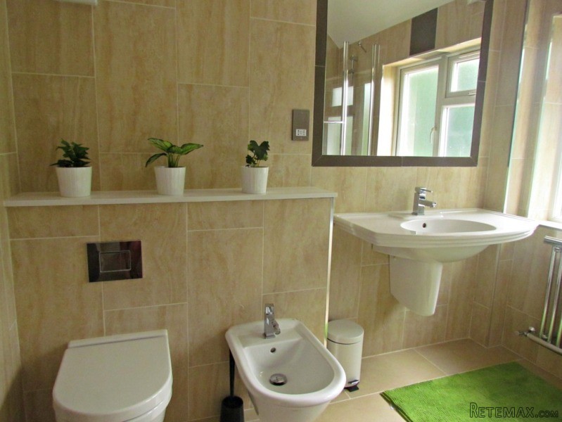 Single with single bed near Chiswick.. - 2