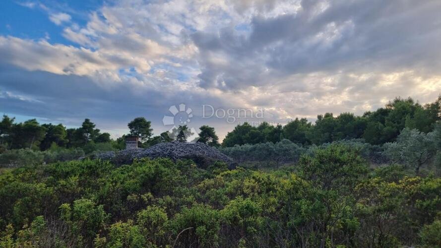 Poljoprivredno zemljište 13472 m2- Milna,Brač