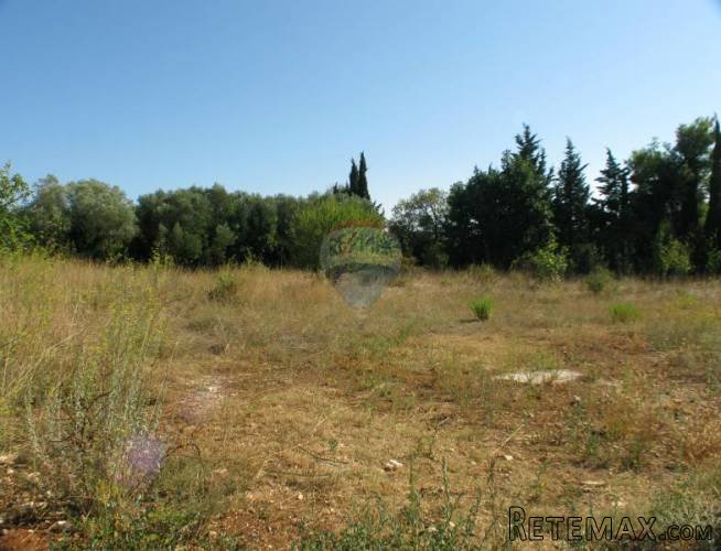 ISTRA, PREMANTURA GRAĐEVINSKO ZEMLJIŠTE 2248 M2 - 4