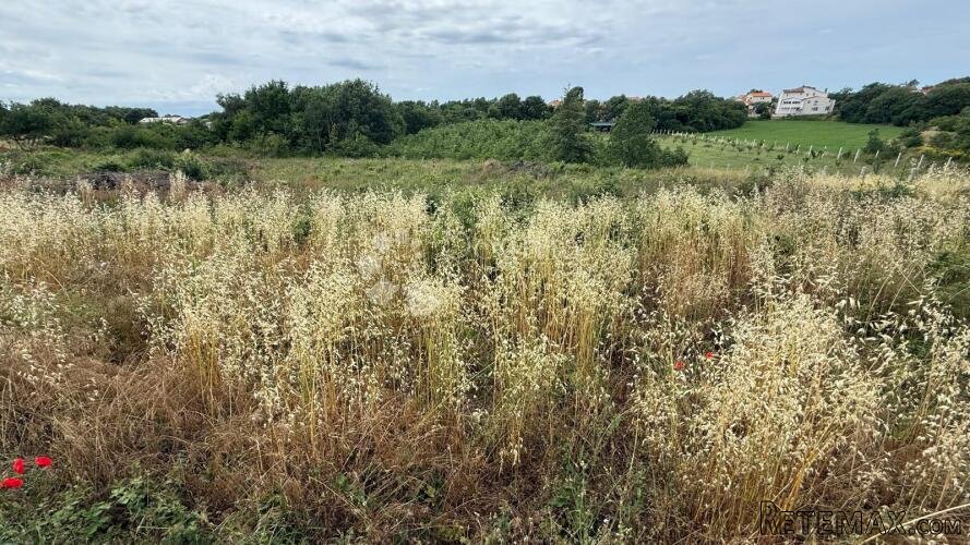 GRAĐEVINSKA PARCELA U BLIZINI PULE - 2