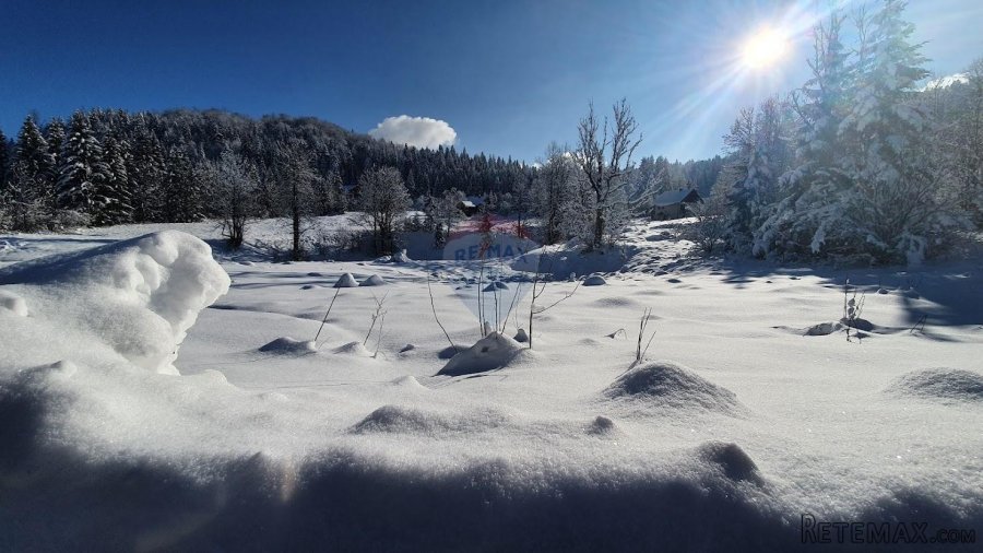 Stara Sušica - poljoprivredni teren
