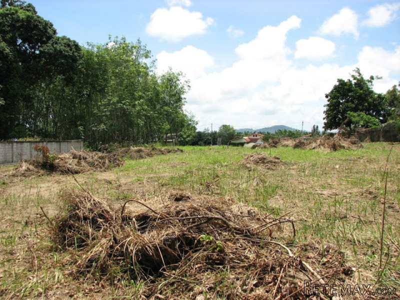 1.5 Rai Land for Sale in Pasak Area