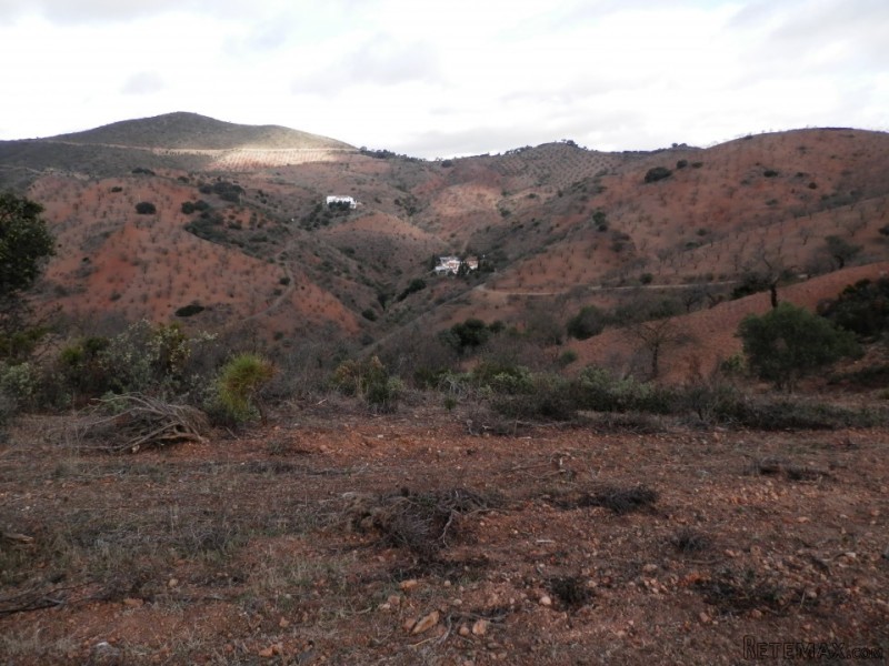 Building Plot, (build 65700 m2), (plot.. - 2