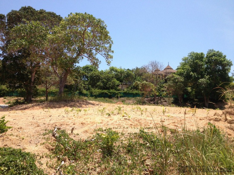 Sai Yuan - Flat Land with Easy Access - 2