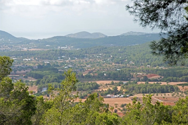 9 Bedrooms - Property - Ibiza - For Sale - 2