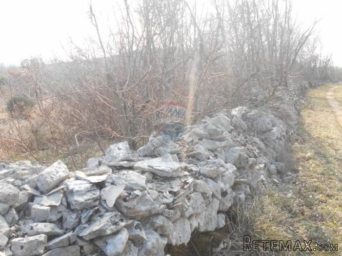 Istra, okolica Rovinja, Sošići,velika poljoprivredna parcela - 3