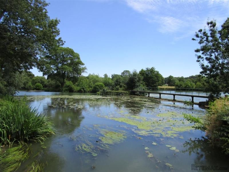 Historic Watermill With 2 Islands On.. - 2