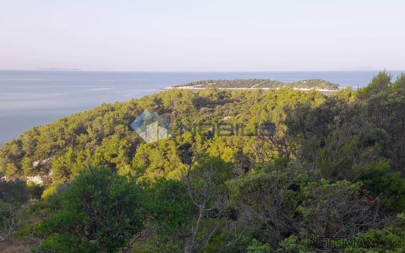 Korčula, Blato, 30.526 m2, južna strana, mogućnost gradnje