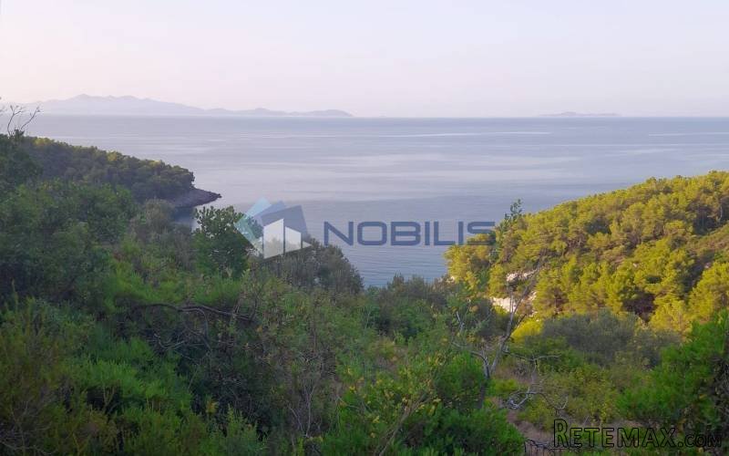 Korčula, Blato, 60.000 m2, južna strana, mogućnost gradnje
