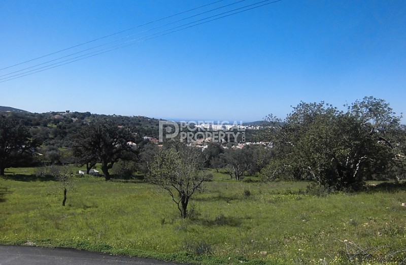 6000m2 Plot In Betunes With Views Of.. - 2