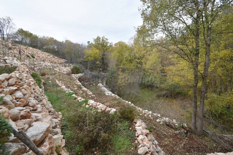 Kuća s lijepom okućnicom i bazenom - 9