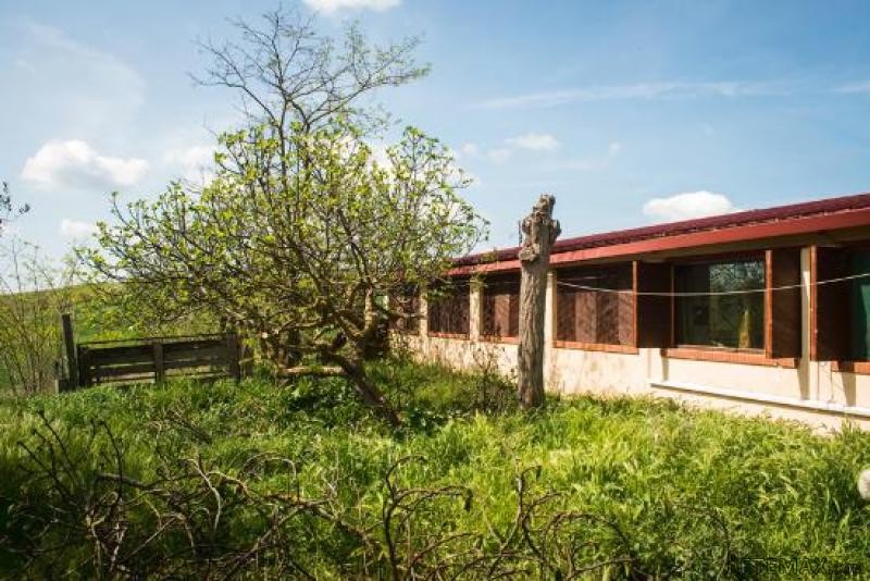 House - Tuscany - For Sale - 2