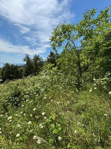 Poljoprivredno zemljište u građevinskoj zoni , Liganj - 3