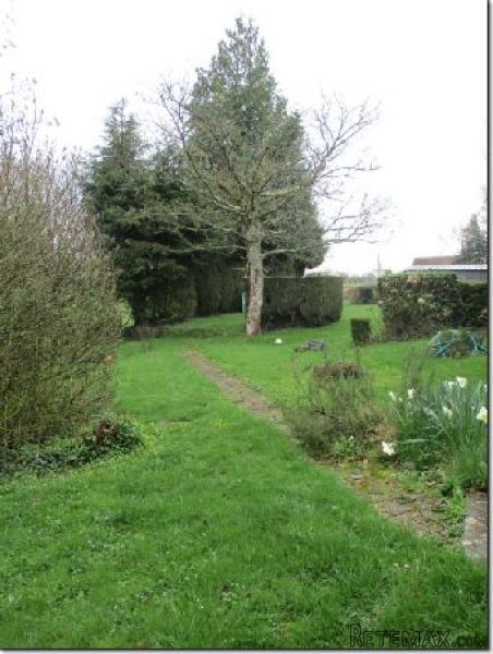 Country House with No Neighbours - 2