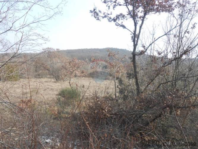 Istra, okolica Rovinja, Sošići,velika poljoprivredna parcela - 5