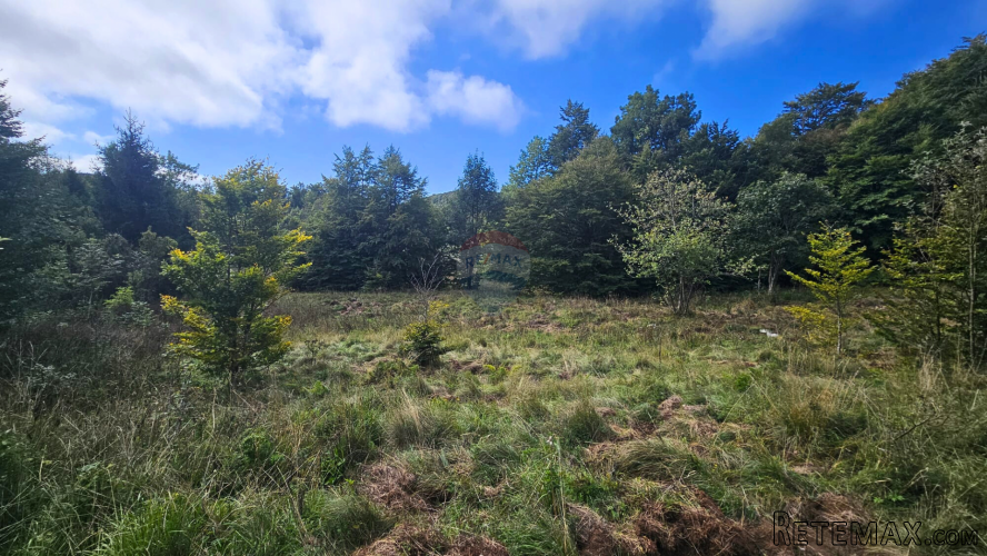 Zlobin, Brdo - negrađevinsko zemljište 7.470 m²