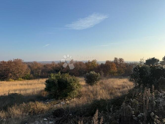 Sveti Lovreč, građevinsko zemljište 1.520m2-PRILIKA - 3