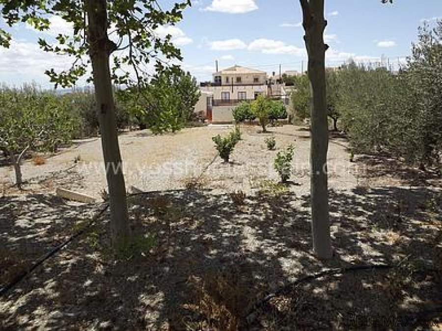 EXCLUSIVE TO VOSS HOMES - A REAL WOW PROPERTY FOR SALE IN.. - 4