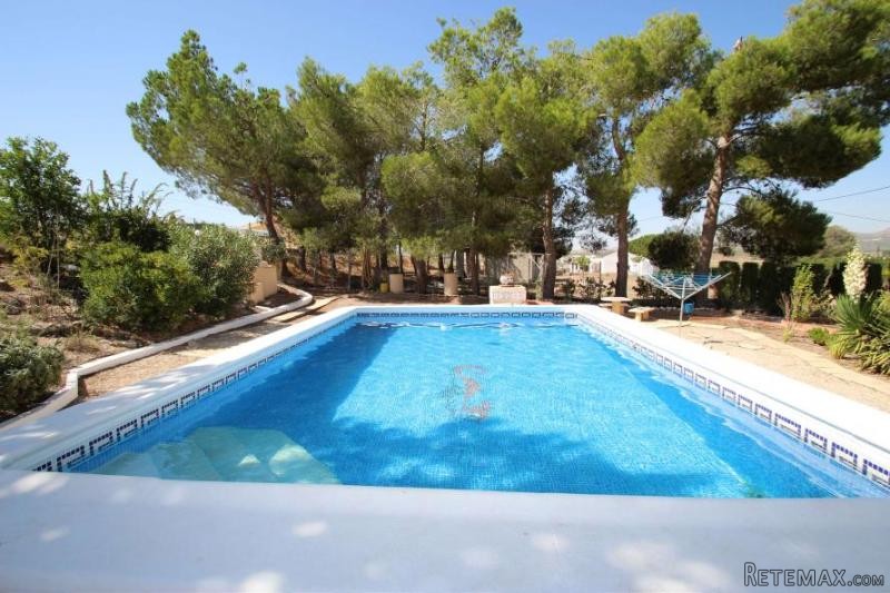 4 bedroom villa with pool in Villena.. - 2