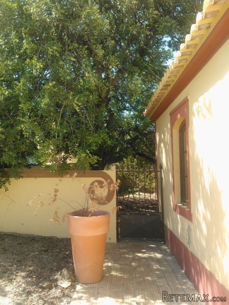 Detached house T4 - 2