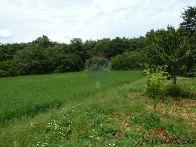 IMANJE, KUĆA S 28000 m2 u KRNICI - 2