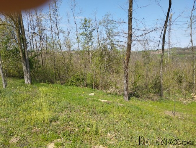 Gradjevinska zemljišta 31 i 45 ari-Jasenak(Obrenovac) - 3