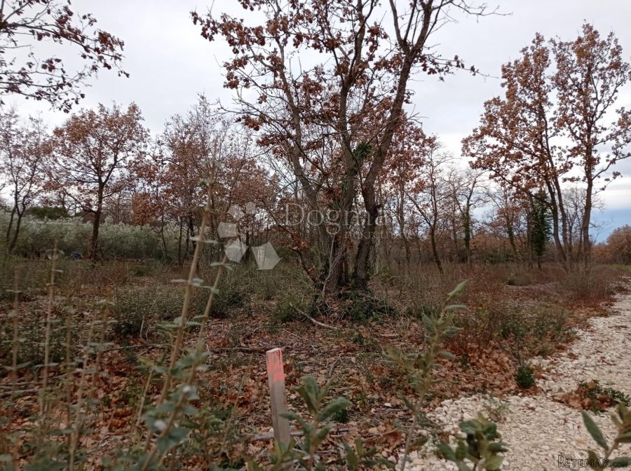 Zemljište na lijepoj lokaciji 2km od mora - 5