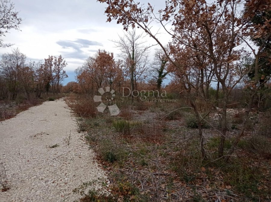 Zemljište na lijepoj lokaciji 2km od mora - 6
