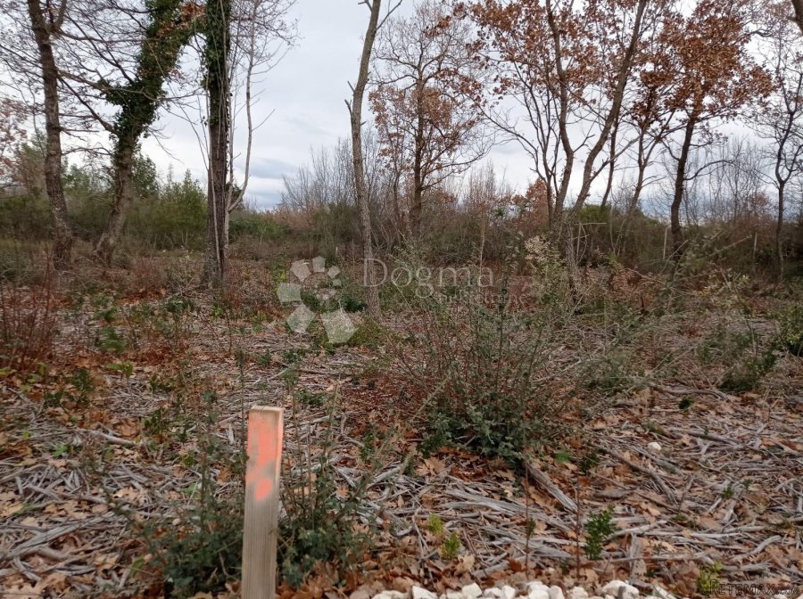 Zemljište na lijepoj lokaciji 2km od mora - 7