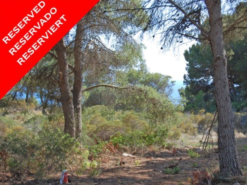 *reserved* Frontline Building Plot In..