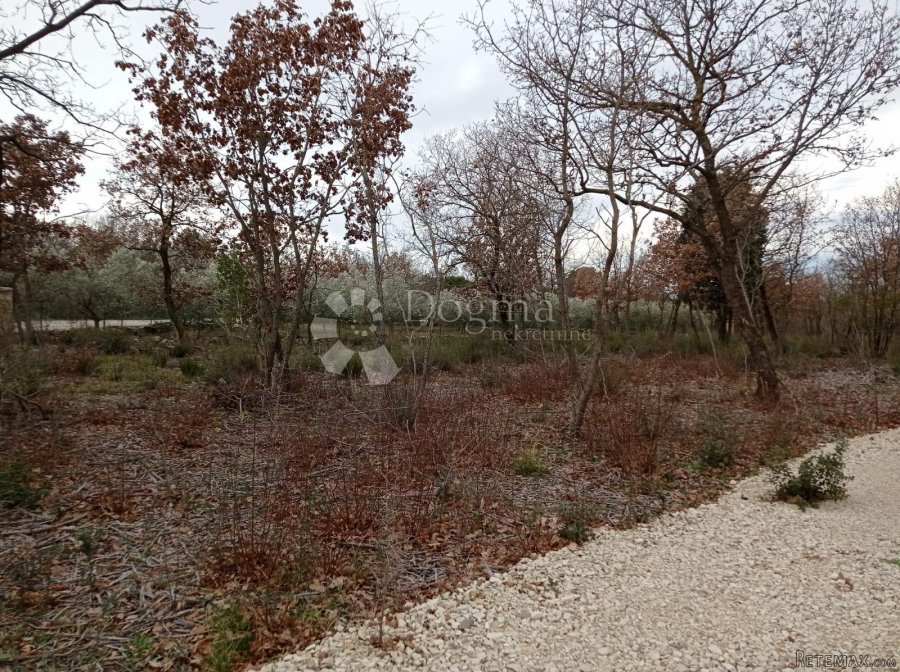 Zemljište na lijepoj lokaciji 2km od mora - 8
