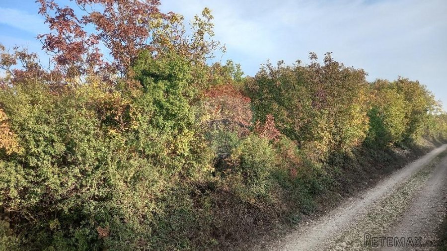 Istra, Fažana okolica, 4 poljoprivredne parcele