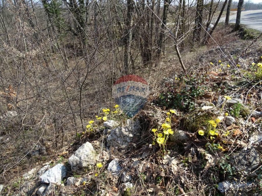Matulji, Brešca 19613 m2 - 3