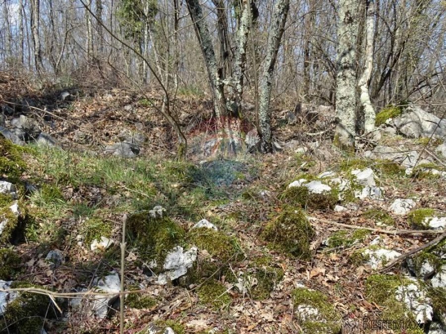 Matulji, Brešca 19613 m2 - 5