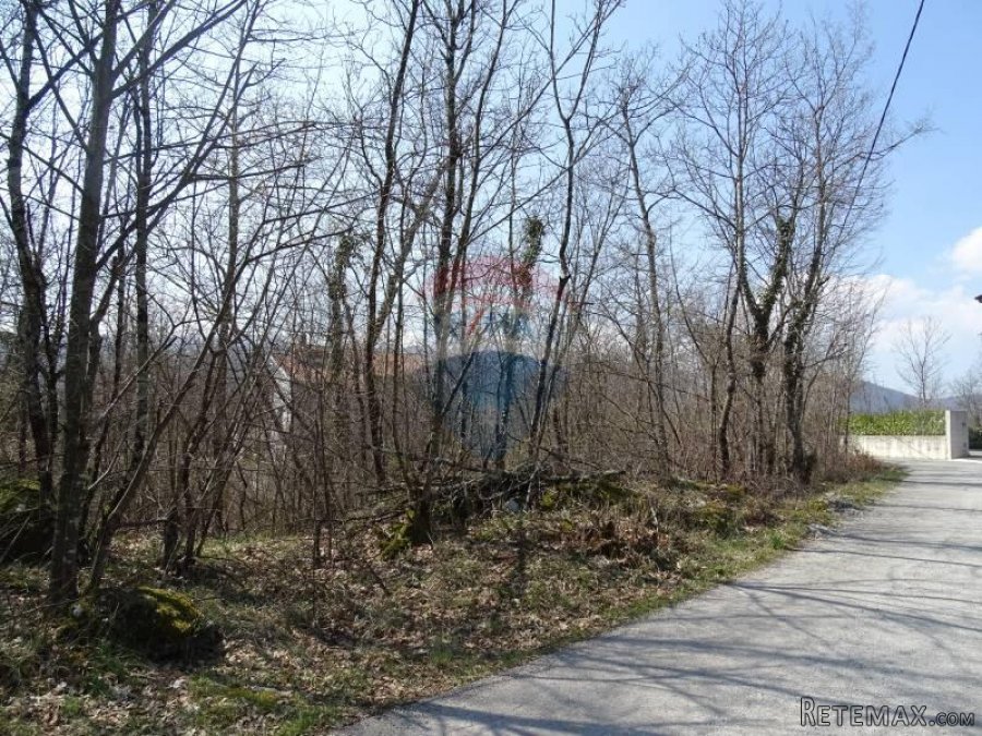 Matulji, Brešca 19613 m2 - 7