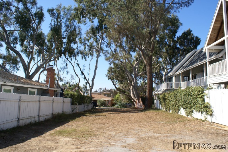 Waverly Avenue
