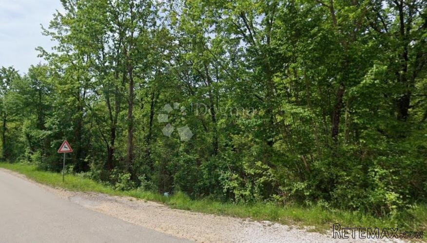 INVESTICIJSKA PRILIKA – Šumsko zemljište između dvije pristu