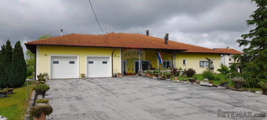 Pisarovina, Bratina, Obiteljska kuća 590m2, okućnica 3868m2,