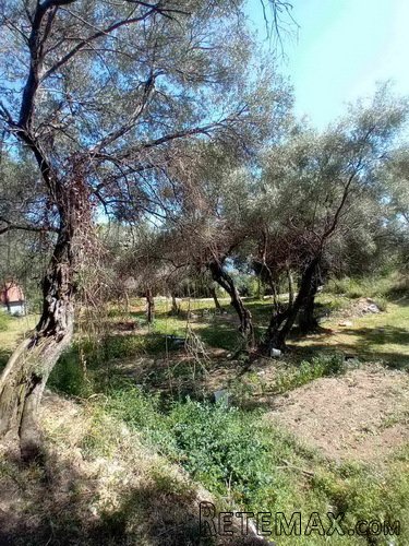 Herceg Novi, građevinski placevi na 1.7 km od centra