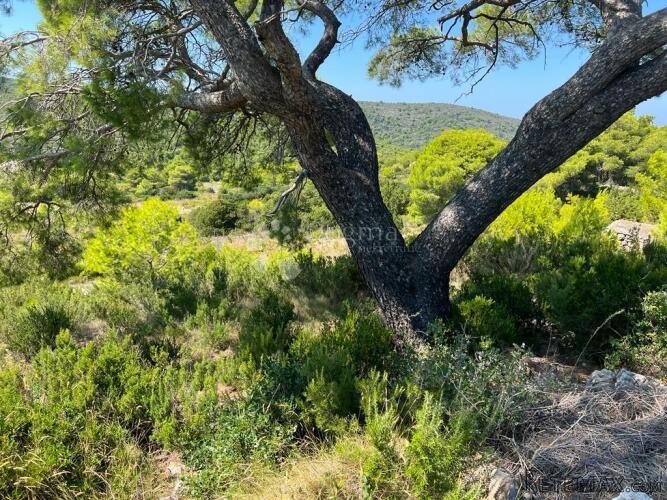 Otok Vis - izniman posjed s kamenom starinom za adaptaciju ! - 11