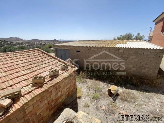 Large plot of rustic land with various olive trees of.. - 15