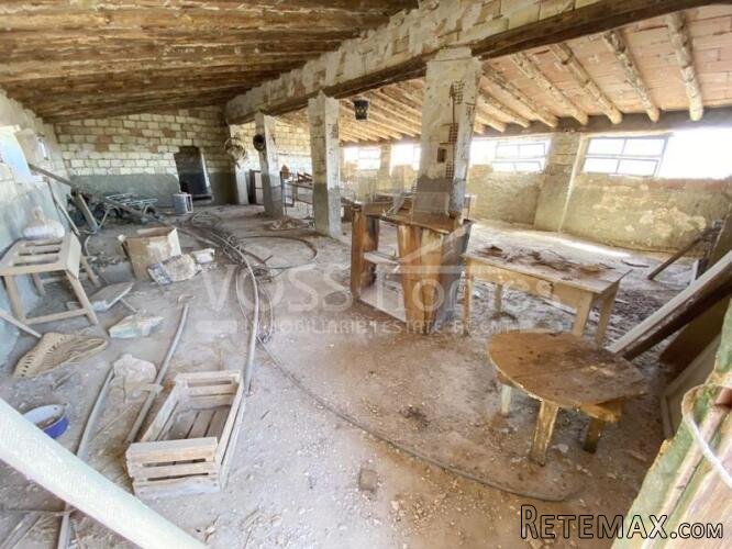 Large plot of rustic land with various olive trees of.. - 16