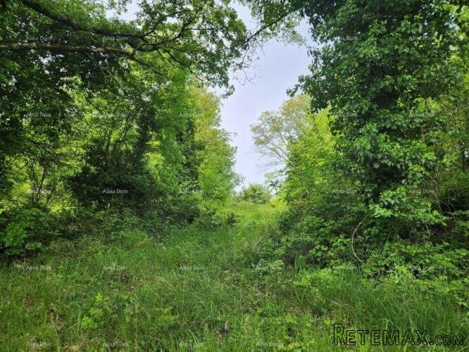 POREČ - Prodaje se građevinsko zemljište, 12000m2 - 2